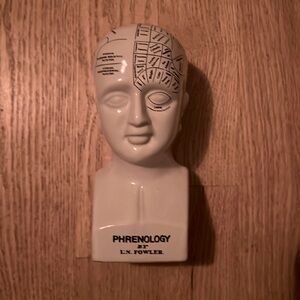 Phrenology Piggy Bank 8” Psychology Bust Head Brain Unique Decor